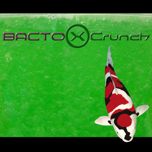 Bacto X Crunch 1000 ml