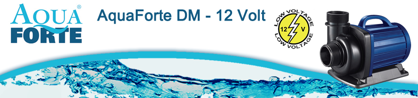 Aquaforte DM 12 Volt Niedervolt Teichpumpen